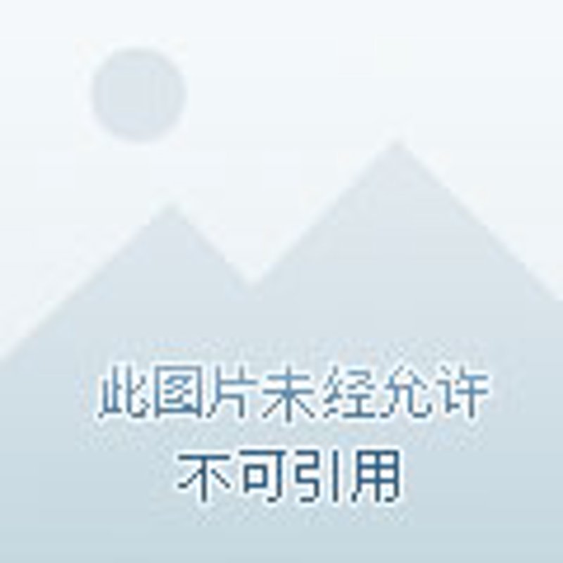 汇川区服装店新气象：本土设计与国际潮流碰撞出的火花